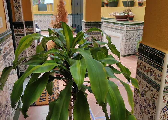 Vakantiehuis Paraiso Del Mar- Privada Con Piscina Propia Y Vista Al Mar Cerca De La Playa